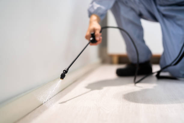 Licensed Cockroach Control service in Strawberry, CA - Nex Pest Control