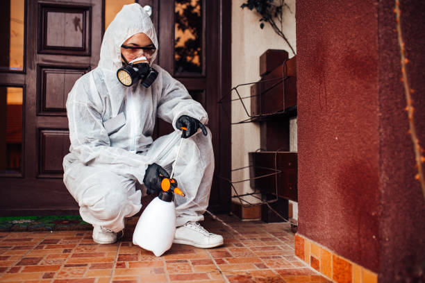Reliable Cockroach Control contractor in Strawberry, CA by Nex Pest Control